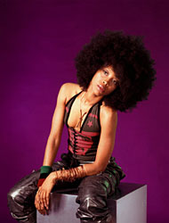 Black Celebrity Erykah Badu