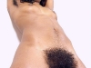 hairy-harley6