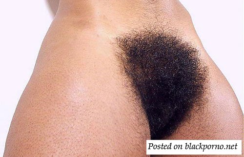 hairy-harley